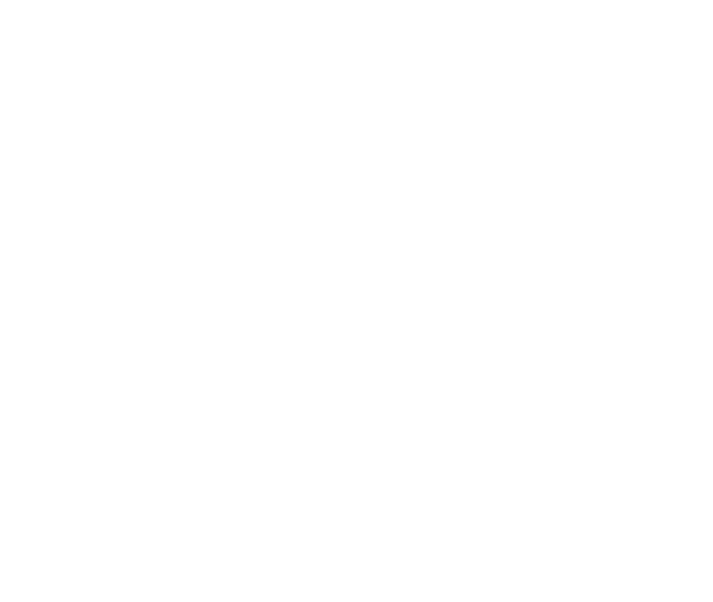Validation
